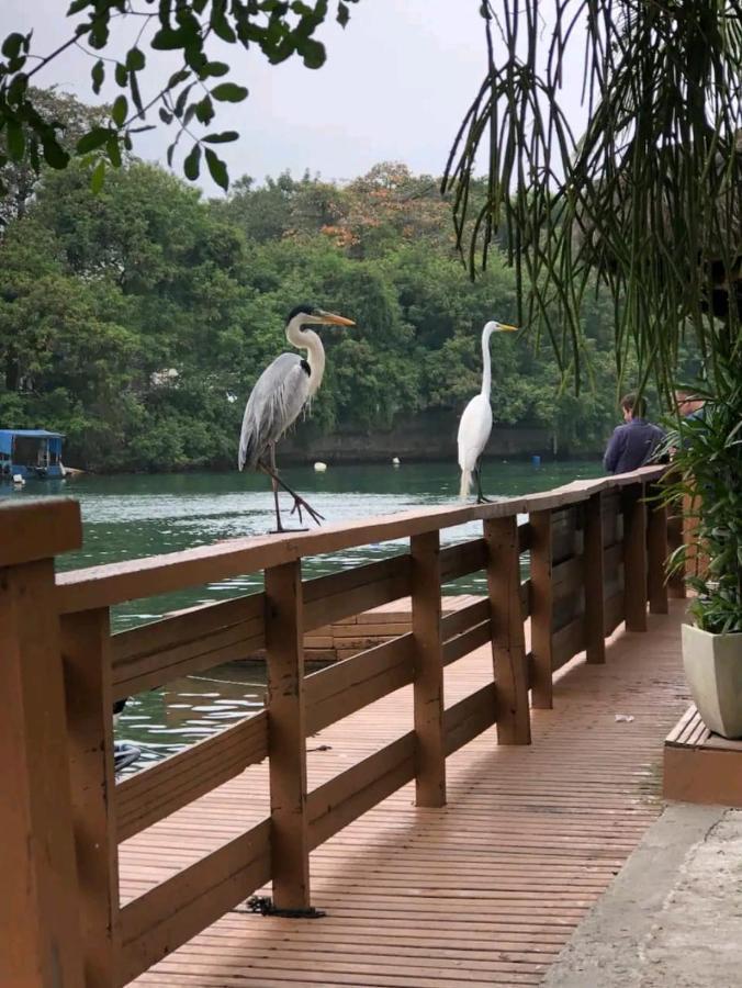 Ilha da Gigoia Barra da Tijuca RJ Rio de Janeiro Exterior foto